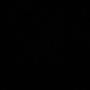 Meet your Posher, Malia